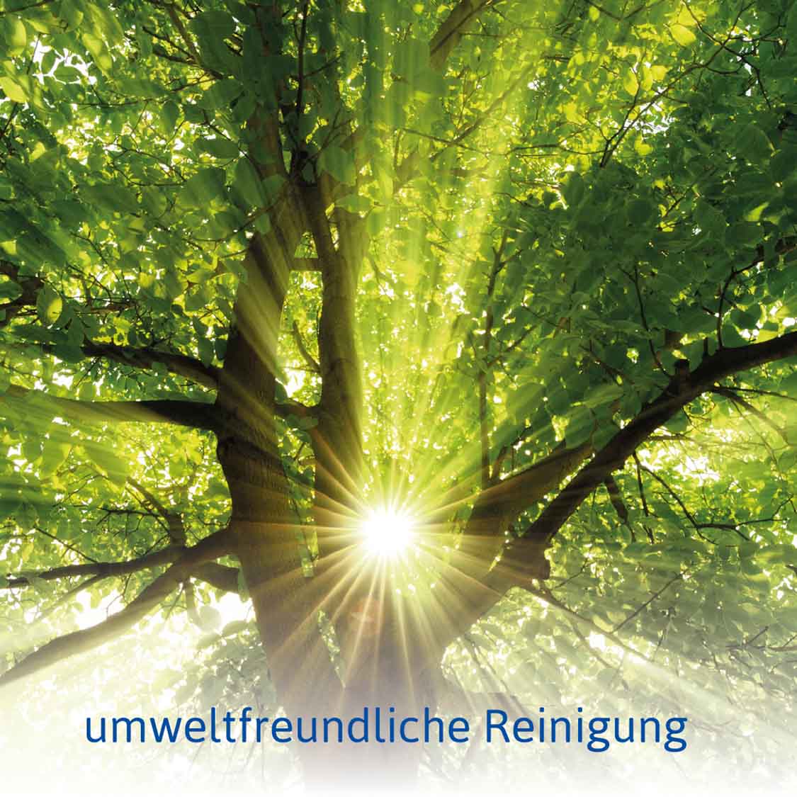 einfach reinigen stuttgart